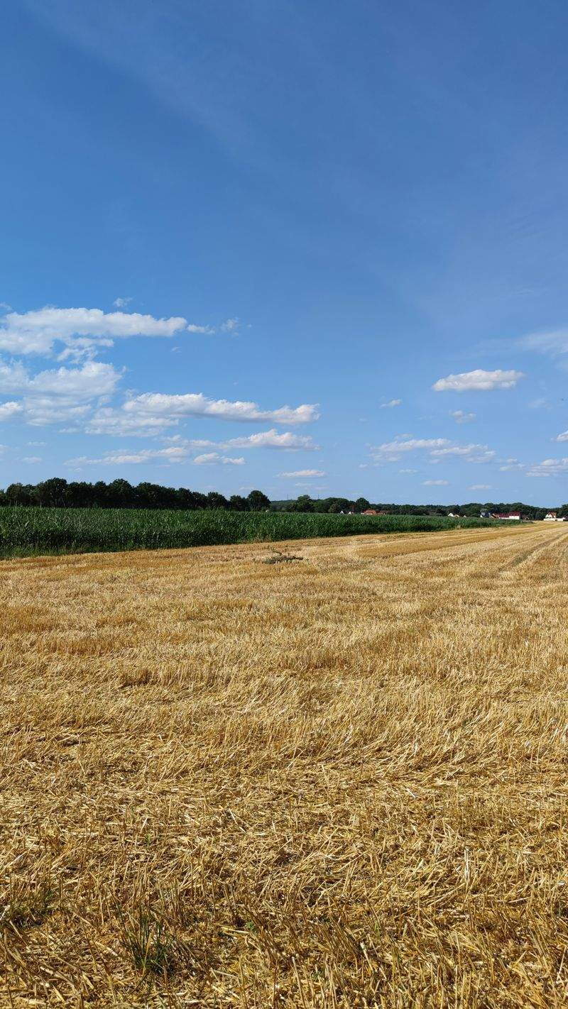 Agricoltura Verde Italia - Image 1