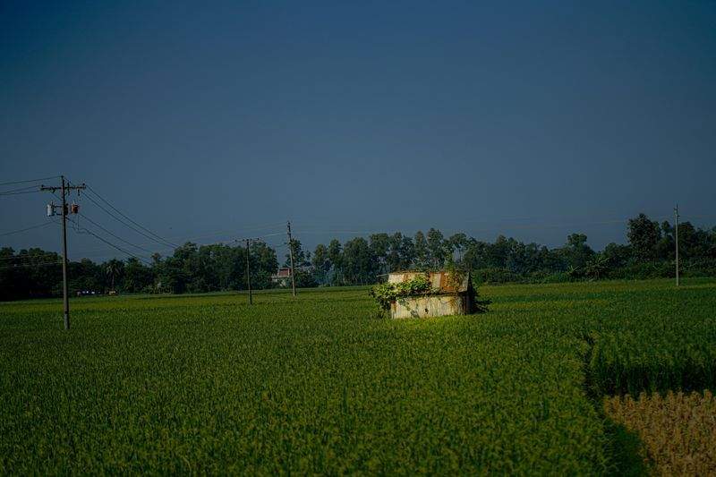 Agricoltura Verde Italia - Image 11